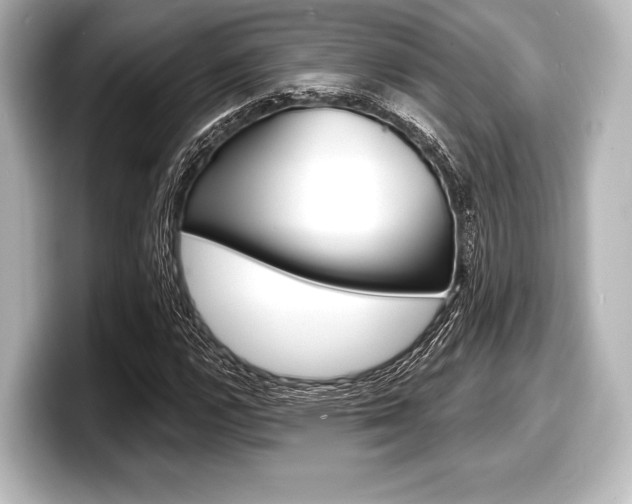 X0000098171112200804241003