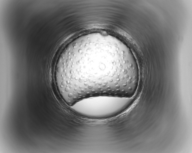 X0000098171113200804241003