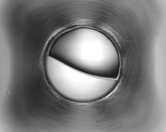 X0000098171114200804241003