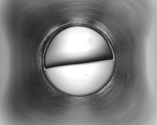 X0000098171115200804241003