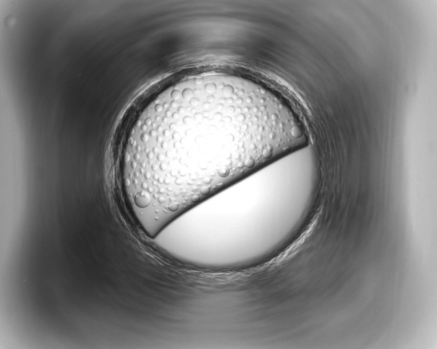 X0000098171117200804241003