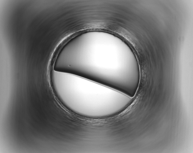 X0000098171119200804241003