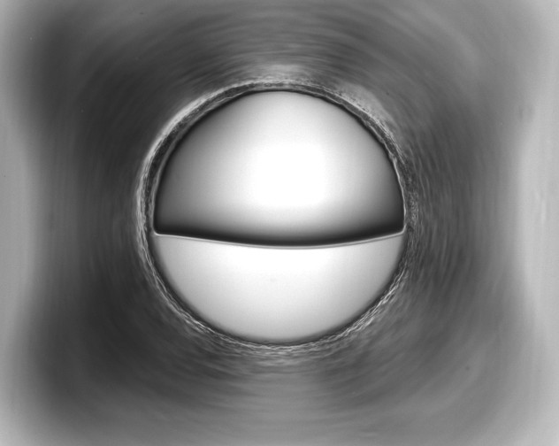 X0000098171120200804241003