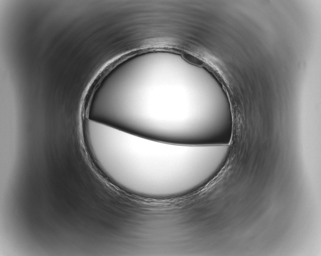 X0000098171124200804241004