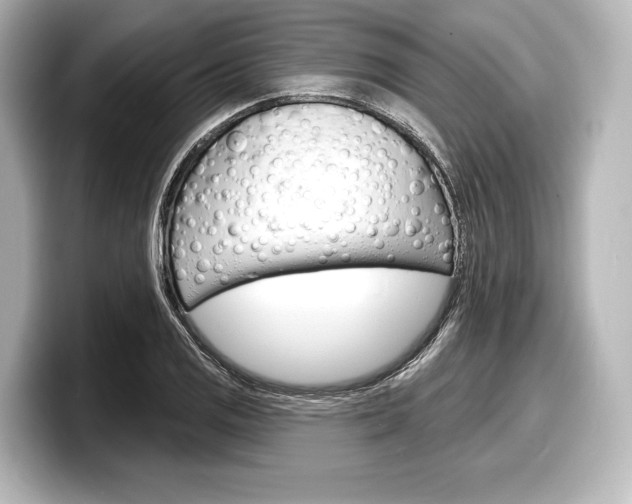 X0000098171125200804241004