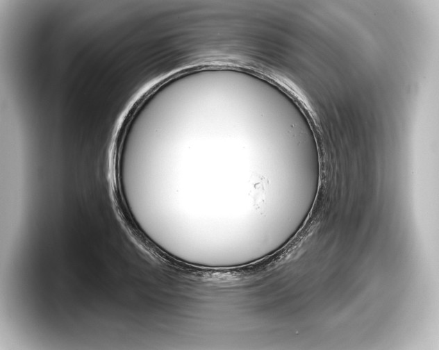 X0000098171128200804241004