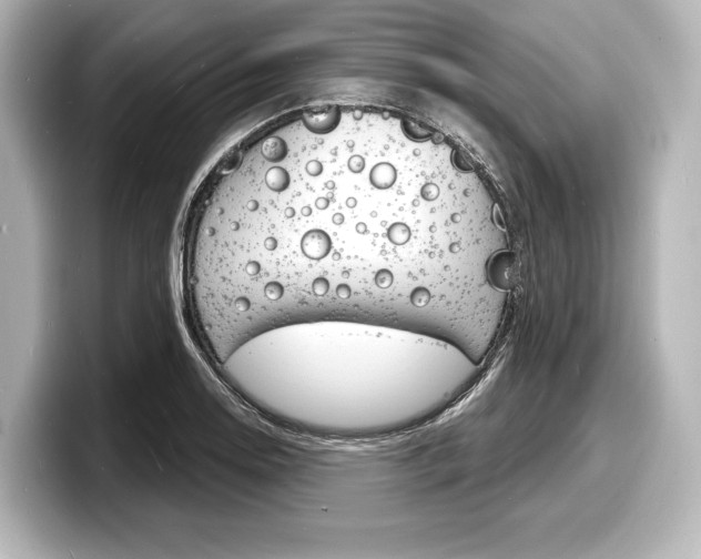 X0000098171130200804241004