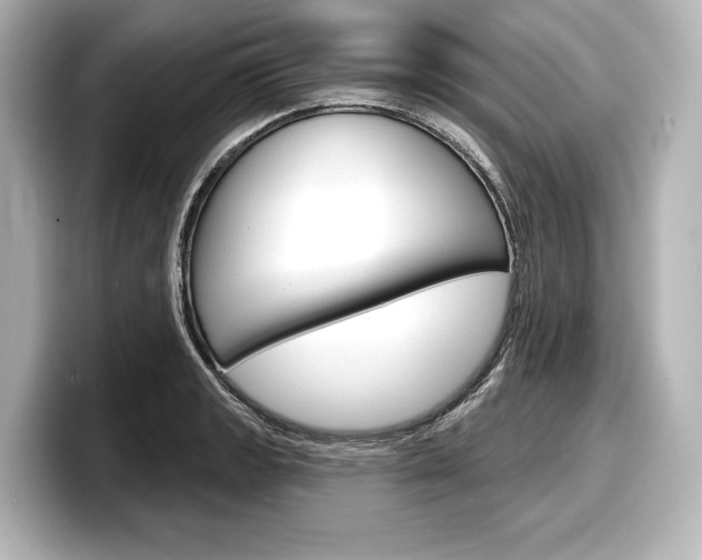 X0000098171133200804241004