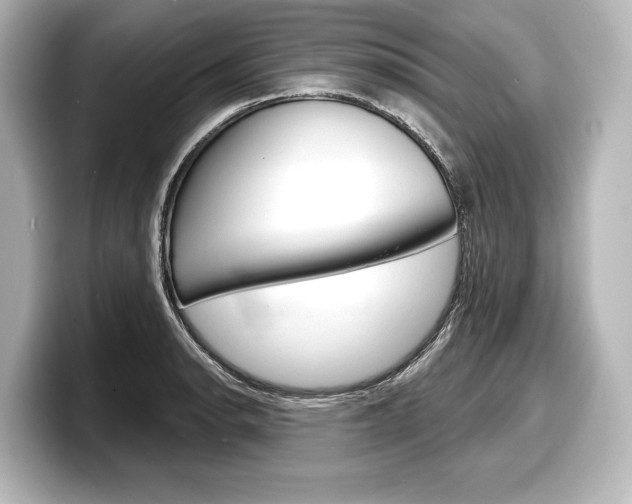 X0000098171134200804241004
