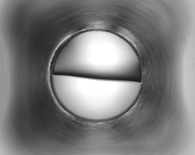 X0000098171135200804241004