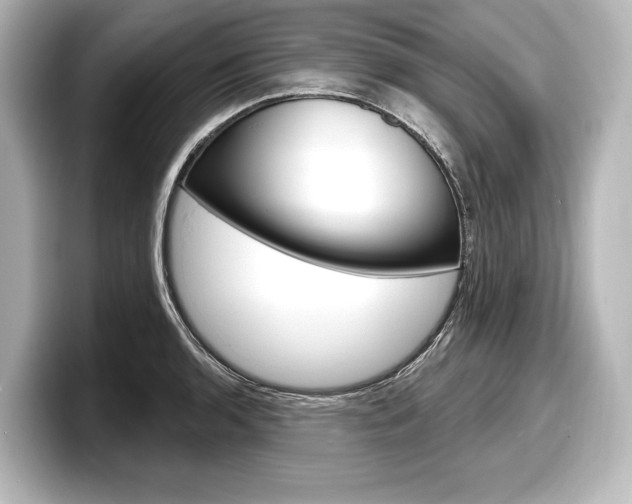 X0000098171136200804241004