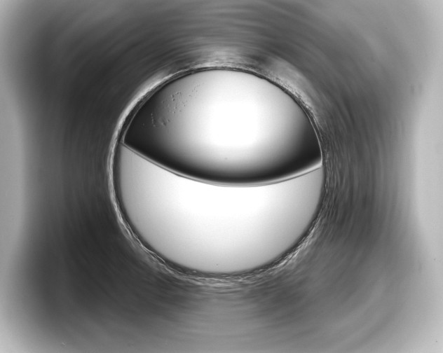 X0000098171138200804241004