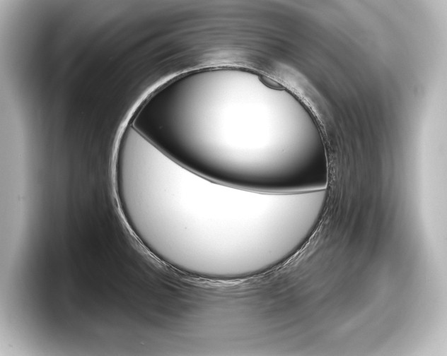 X0000098171140200804241004