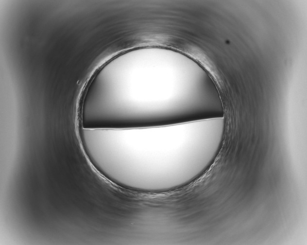 X0000098171143200804241004