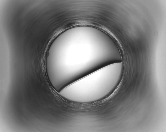 X0000098171145200804241004