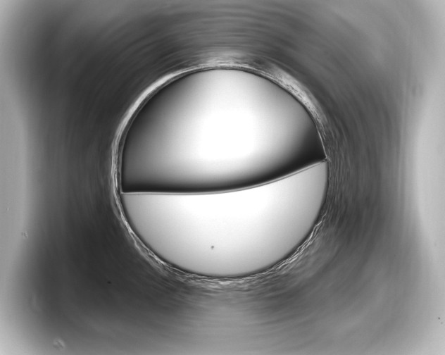 X0000098171148200804241004