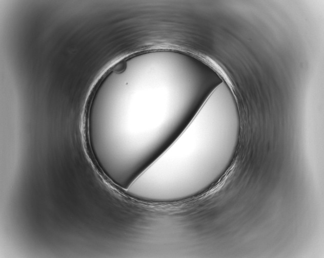 X0000098171149200804241004