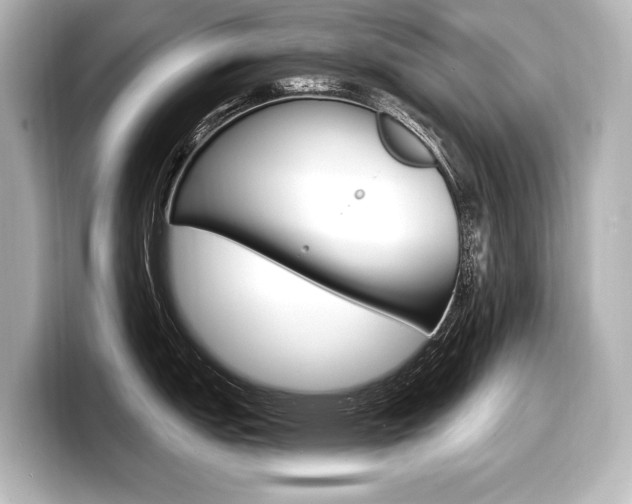 X0000098171151200804241004