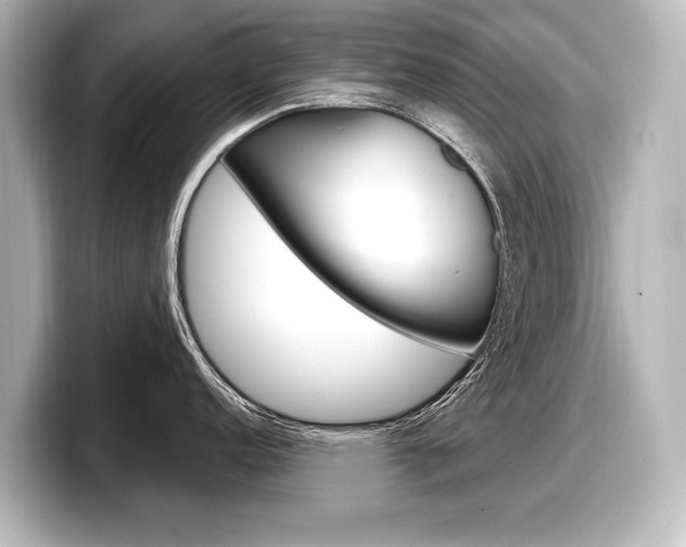 X0000098171152200804241004
