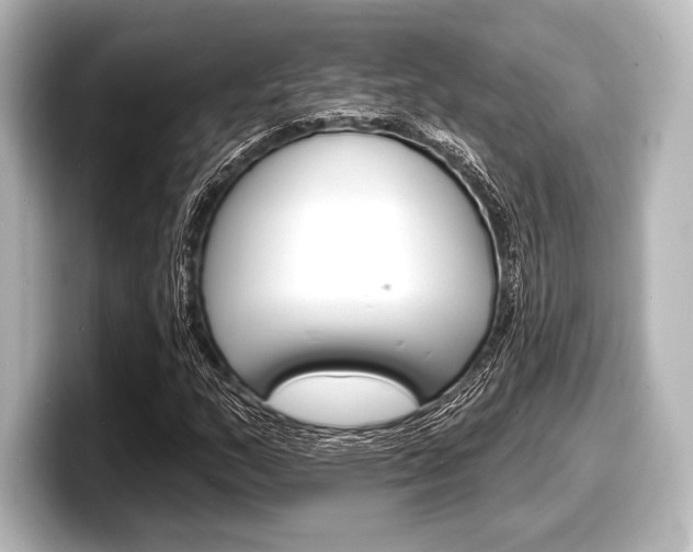X0000098171159200804241003