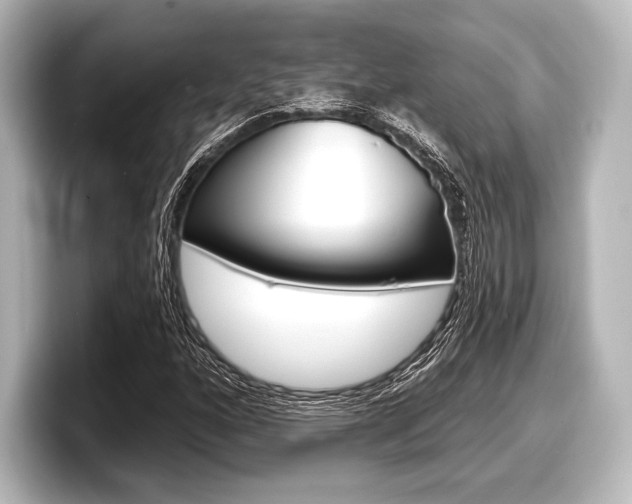X0000098171160200804241003