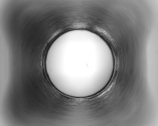 X0000098171162200804241003