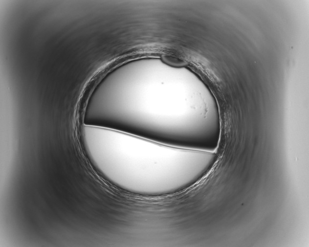 X0000098171164200804241003