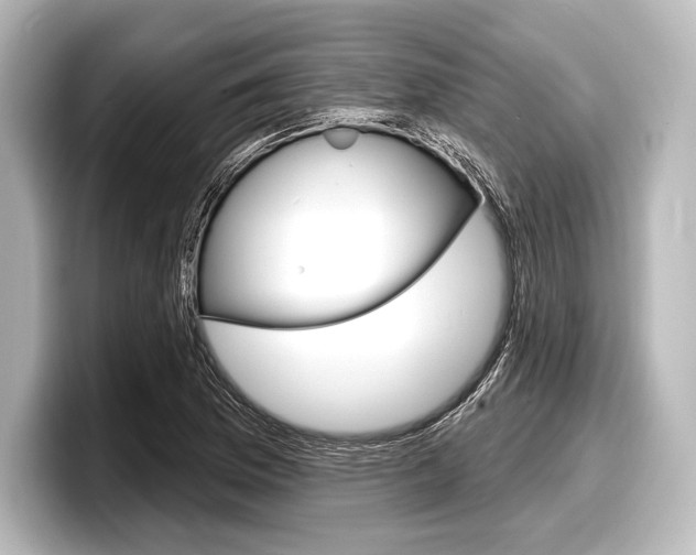 X0000098171169200804241003