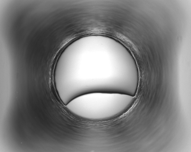 X0000098171170200804241003