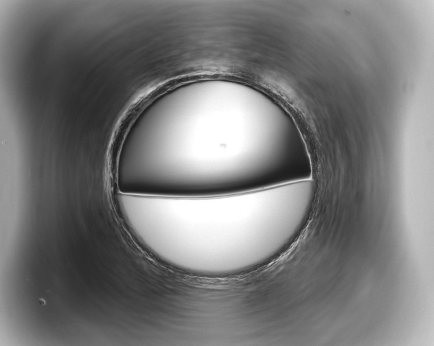X0000098171172200804241003