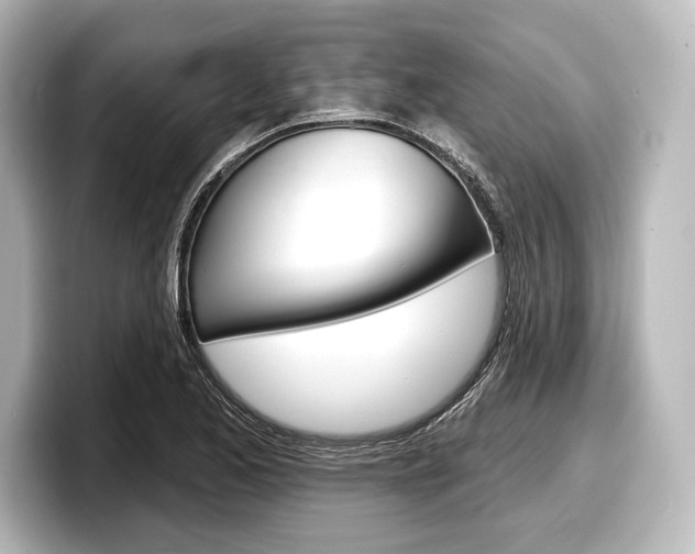 X0000098171173200804241003