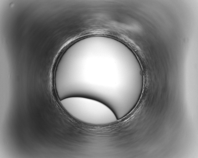X0000098171174200804241003