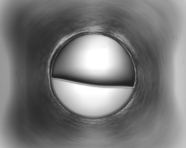 X0000098171176200804241003