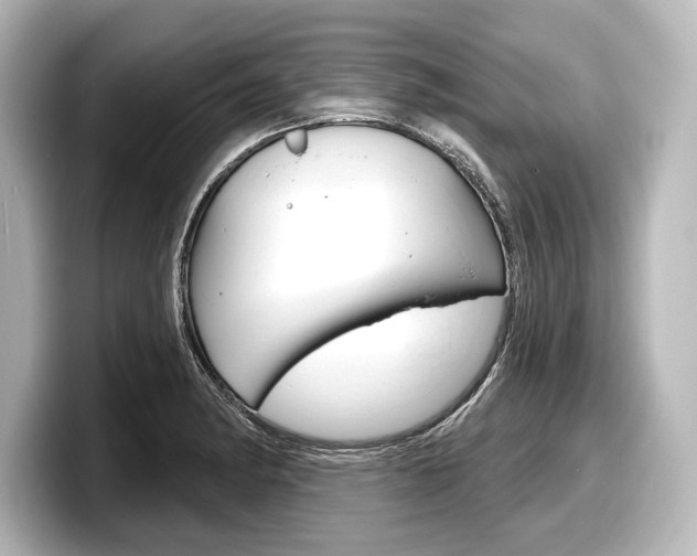 X0000098171182200804241003