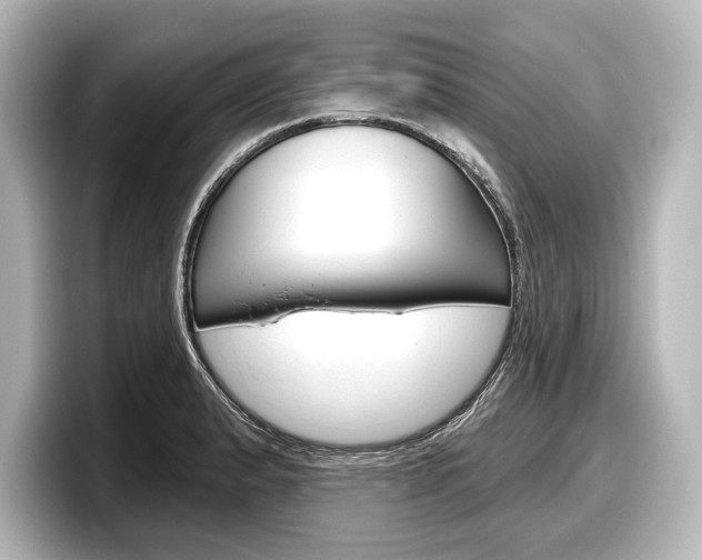 X0000098171183200804241003