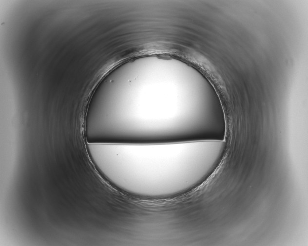 X0000098171185200804241003