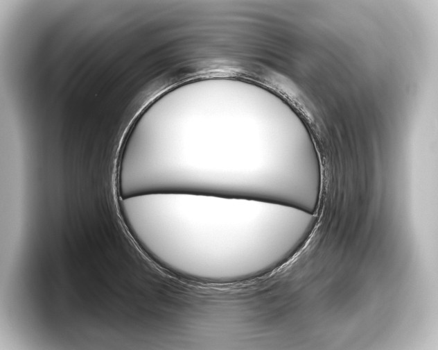 X0000098171186200804241003