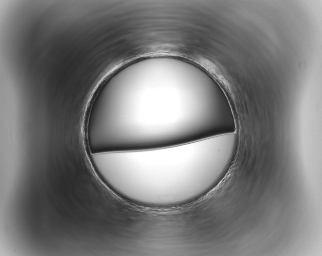 X0000098171189200804241003