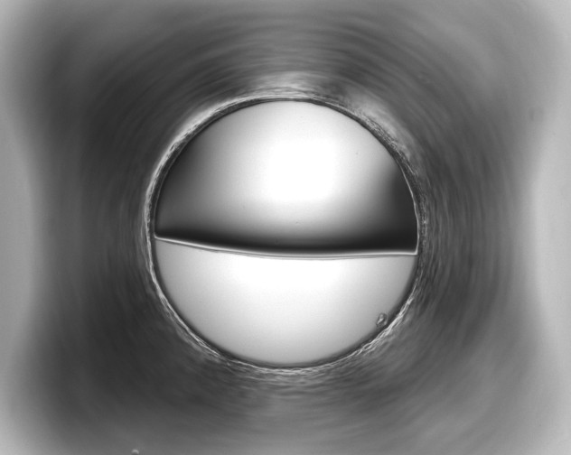 X0000098171192200804241003
