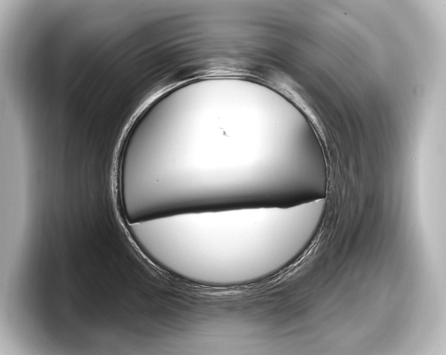X0000098171195200804241003