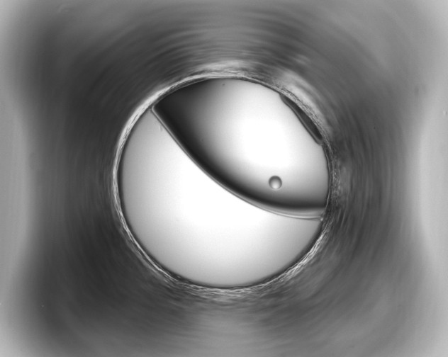 X0000098171196200804241003