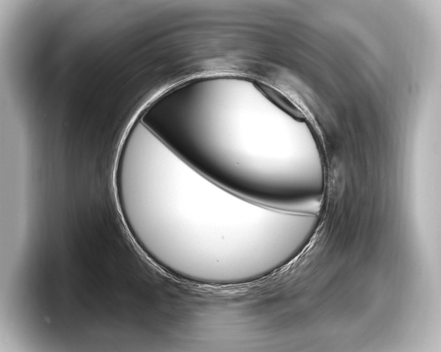 X0000098171197200804241003