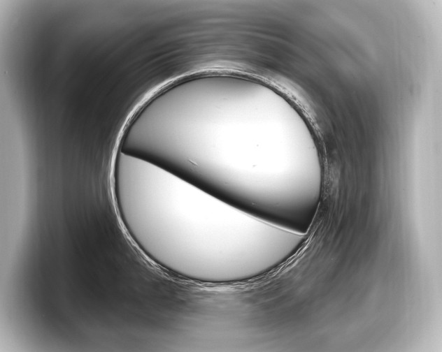 X0000098171199200804241003