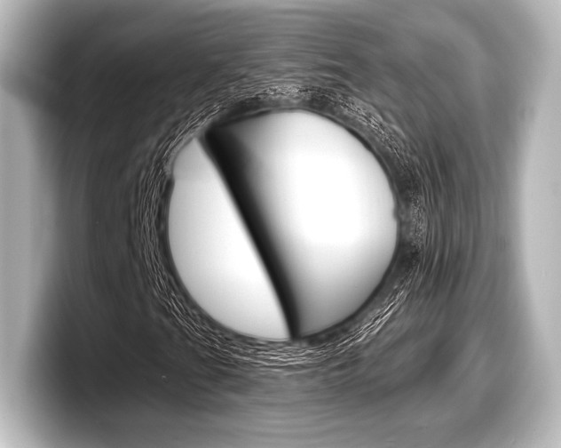 X0000098171201200804241002