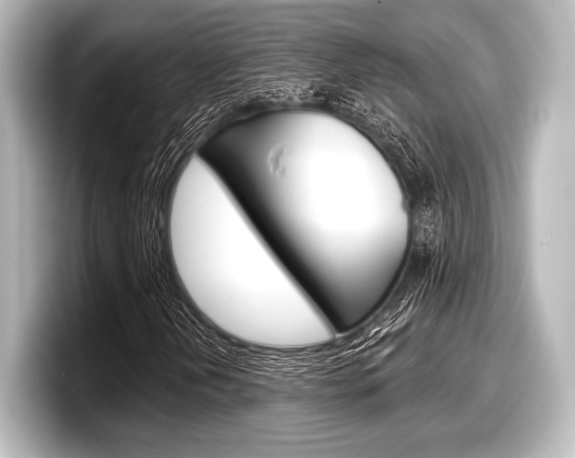 X0000098171202200804241002