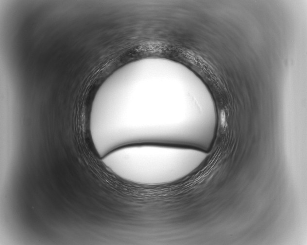 X0000098171203200804241002
