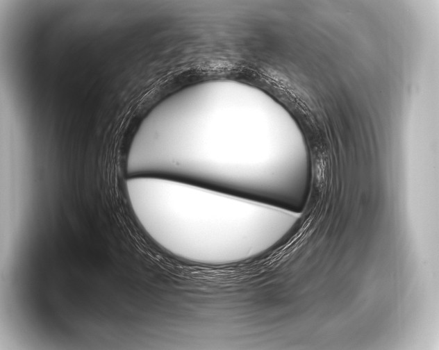X0000098171204200804241002