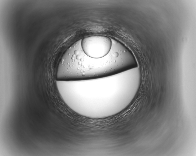 X0000098171205200804241002