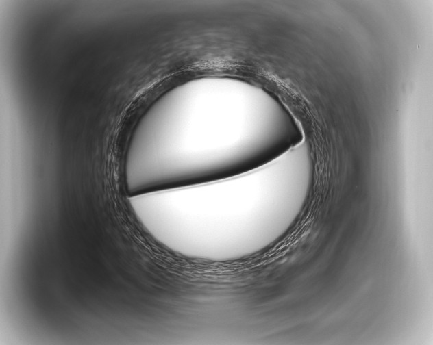 X0000098171206200804241002