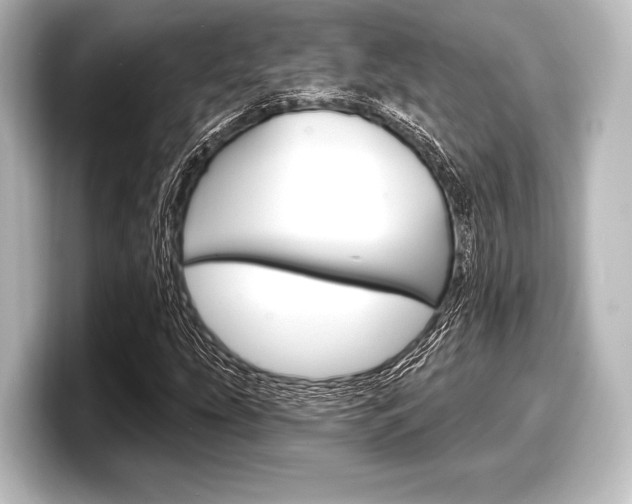 X0000098171207200804241002